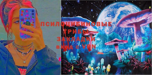 спиды Осинники