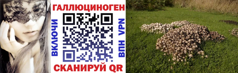 купить наркоту  Кириллов  Псилоцибиновые грибы MAGIC MUSHROOMS 
