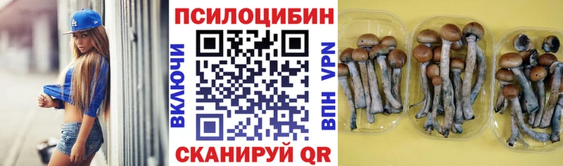 Галлюциногенные грибы Psilocybe Кириллов